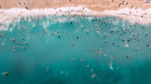 Beach Crowd