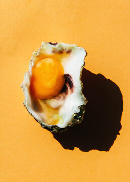sea egg