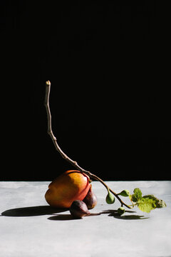 fruit ikebana