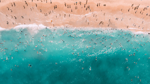 Beach Crowd