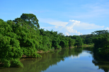Fototapeta na wymiar Tamparuli river with mangroves in Sabah, Malaysia