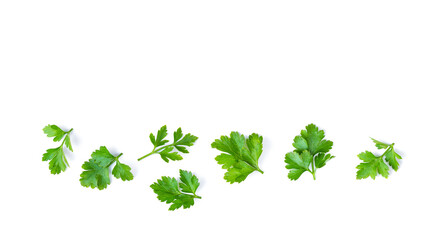 Obraz premium Parsley isolated on a white background