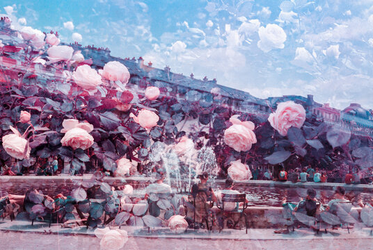 People sitting outside by french fountain surrounded by roses