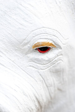 Closeup of elephant statue eye
