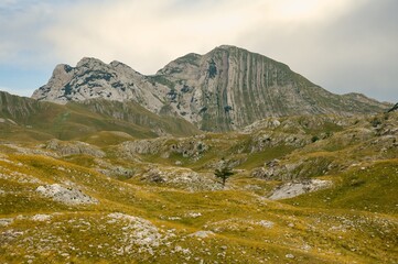 Obraz premium mountain landscape in the summer