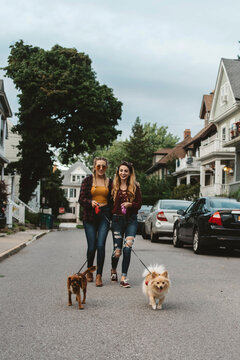 Two female friends in their twenties playing with their dogs outside in autumn