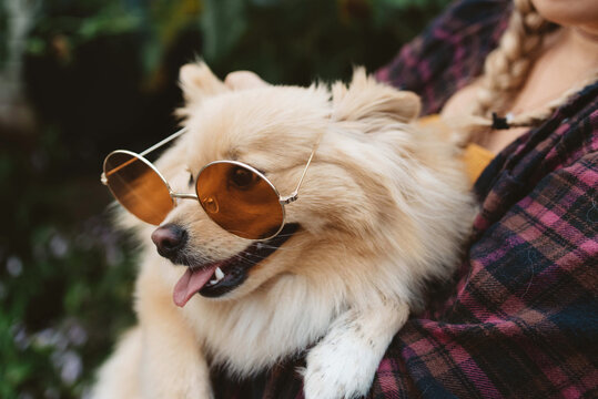 Two female friends in their twenties playing with their dogs outside in autumn