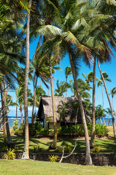 Traditional thatched roofed huts in Viti Levu, Fiji