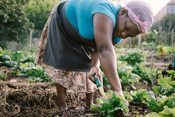 Picking fresh produce