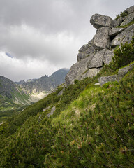 Fototapeta na wymiar Rock formation on a hiking trail in High Tatras mountains in Slovakia surrounded by coniferous trees. Top of mountain in background