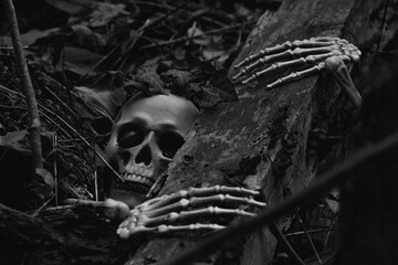 Halloween Horror Concept