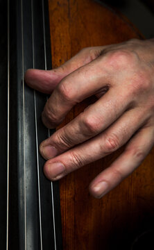 Close-up of a hand on the strings of a cello
