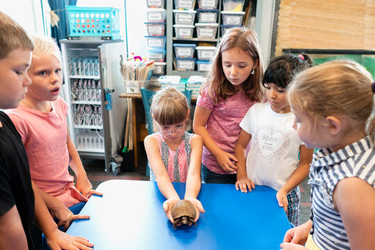 Students in Classroom with Tortoise