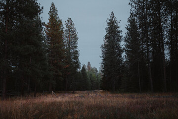 Dusk in the mountains