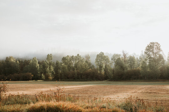 Bright morning sky above misty landscape.