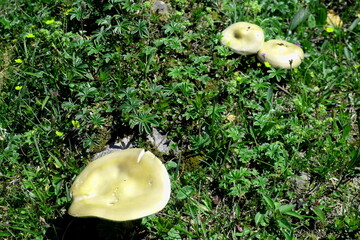 wide angle mountain panorama in the bavarian alps