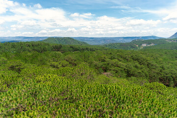 Fototapeta na wymiar Top view of pine forest and mountains