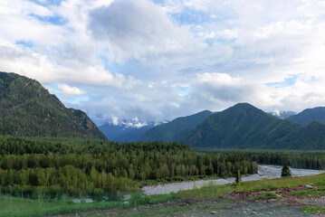 Forest and river against the background of mountains and clouds, Altai Siberia