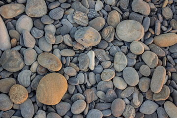 Many smooth sea stones on the beach