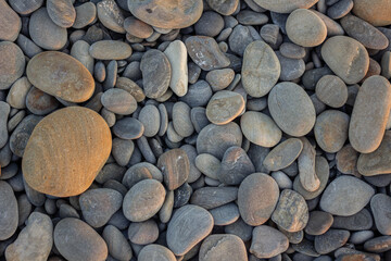 Many smooth sea stones on the beach