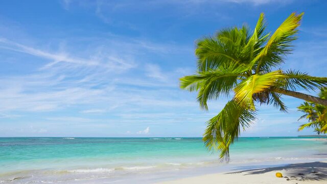 Tropical travel to a winter beach resort. Beach and sea sunny weekend by the ocean.