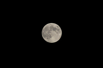 Obraz premium Super Moon, Full moon.