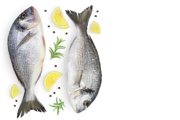 Fish dorado isolated on white background with clipping path and full depth of field. Top view with copy space for your text. Flat lay