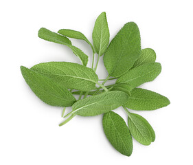 Sage herb leaves isolated on white background with clipping path . Top view. Flat lay