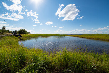 Fototapeta na wymiar A small pond with lush green vegetation along the banks, bright Sunny day