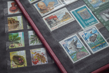 Still life with stamps in an album. Ukrainian stamps