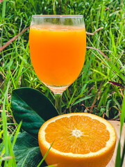 Orange juice