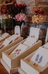 packages of seeds