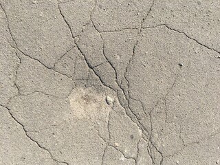 Old cracked asphalt on a sunny day