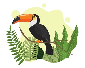 Tropical bird toucan cartoon animal design.