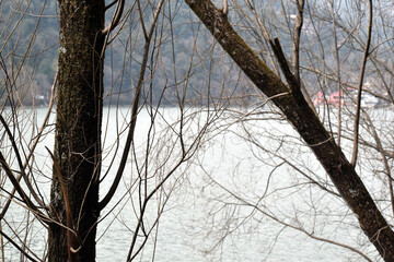 Obraz premium Beautiful picture of trees and lake in background