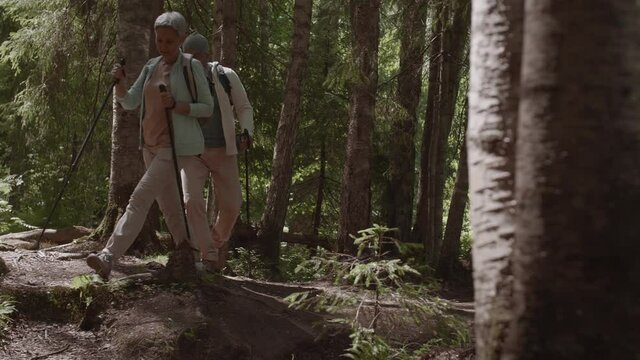 Sporty old Caucasian man and his beautiful Asian wife wearing tourist backpacks walking with ski poles deep in summer woods