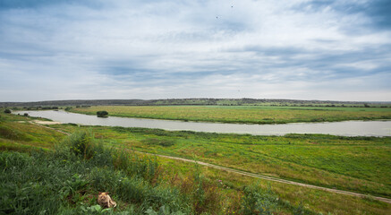 Landscape river in a bright green summer field on a cloudy day