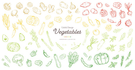 おしゃれでラフな野菜のスケッチイラストセット