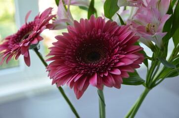 Beautiful bouquet with gerberas. Fresh large pink flowers