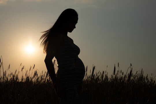 Silhouette of a pregnant woman against the backdrop of a sunset and a field with ripening wheat. The concept of motherhood and fertility.