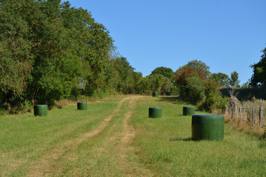 Ballots de paille ou de foin couverts d'une protection, 