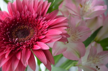 Beautiful bouquet with gerberas. Fresh large pink flowers