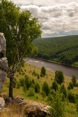 A tall tree next to a rock against the background of a river and coniferous forest