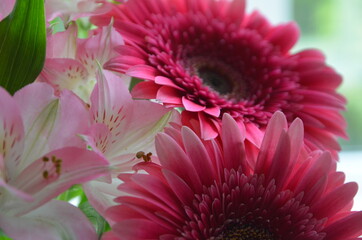 Beautiful bouquet with gerberas. Fresh large pink flowers