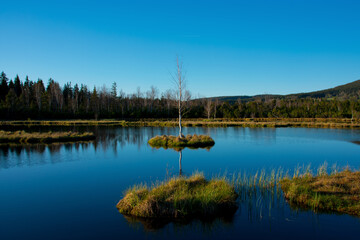 Chalupska moor at Sumava national park - Czechia