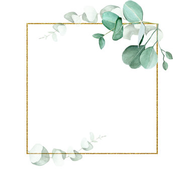 golden square frame with watercolor eucalyptus leaves isolated on white background. design for weddings, invitations, cards. vintage logo for perfumery, cosmetics
