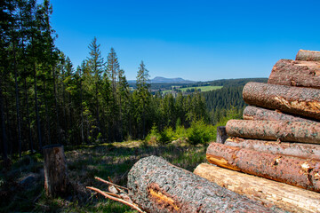 View on Roklany - Sumava National Park in Czechia
