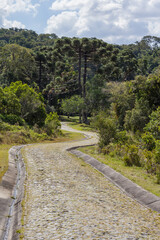 Fototapeta na wymiar Stone pathway at the Guartela State Park - Tibagi, PR - Brazil