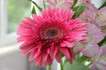Beautiful bouquet with gerberas. Fresh large pink flowers