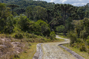 Fototapeta na wymiar Stone pathway at the Guartela State Park - Tibagi, PR - Brazil